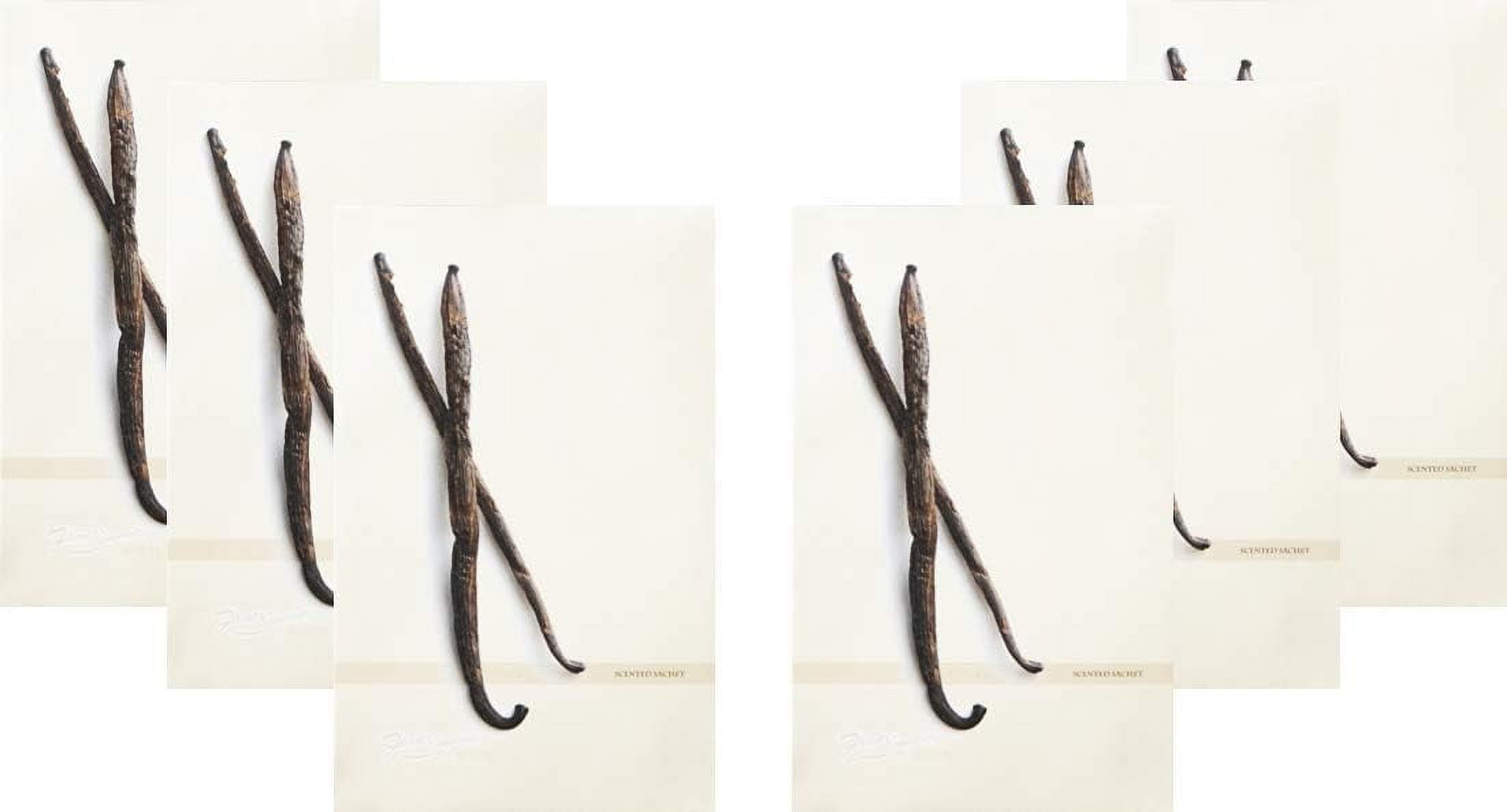 Scents Vanilla Sachets (Everyday) 6 Pack Long Lasting, ECOFriendly