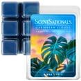 thumbnail image 1 of Caribbean Clouds Scented Wax Melts, ScentSationals, 2.5 oz, 1 of 6