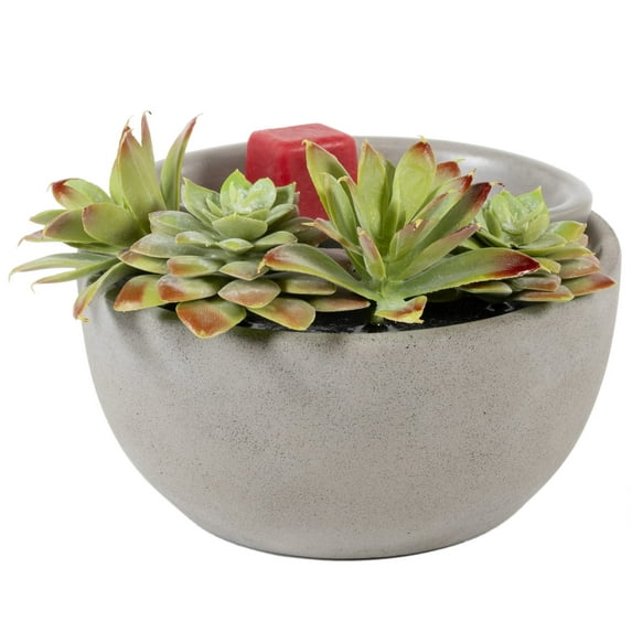 Scentsationals Wax Melt Warmer, Wax Warmer for Scented Wax Melts - Boho Collection Succulent Bowl - Candle Wax Melter for Fragrance Cubes and Tarts