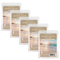 thumbnail image 1 of Scentsationals Warm White Sands Scented Wax Melts, 2.5oz, 5-Pack, 1 of 9