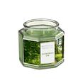 thumbnail image 1 of Scentworx 14.5 oz Evergreen Fir 3-Wick Jar Candle by Slatkin & Co, 1 of 7