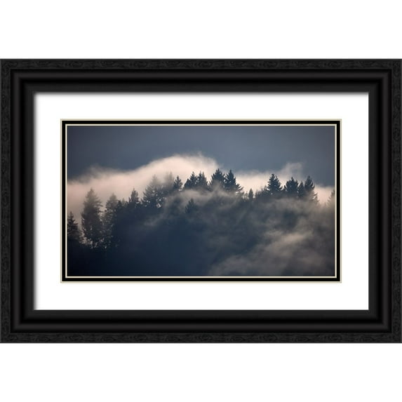 Schade, Peter 14x10 Black Ornate Wood Framed with Double Matting Museum Art Print Titled - Black Forest I