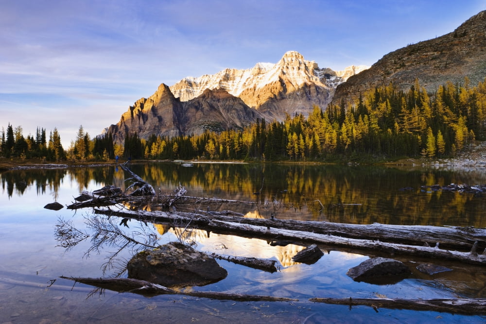 Schaffer Lake And Mount Huber At Sunset Yoho National Park British Columbia Canvas Art - Yves Marcoux Design Pics (17 x 11)