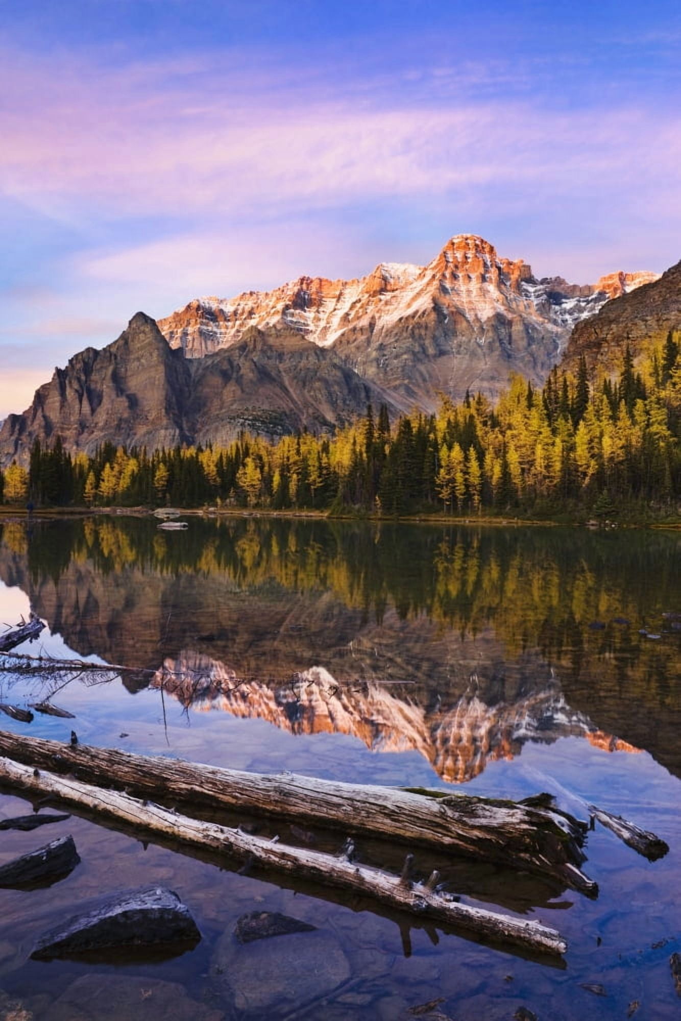Schaffer Lake And Mount Huber At Sunset Yoho National Park British Columbia Canvas Art - Yves Marcoux Design Pics (22 x 34)