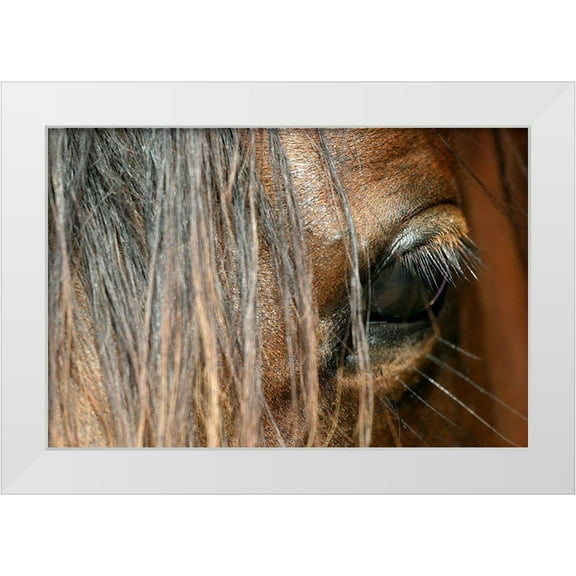 Schalke, Melissa  18x13 White Modern Wood Framed Museum Art Print Titled - Beautiful close-up of a Horse