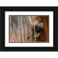 thumbnail image 1 of Schalke, Melissa  32x23 Black Ornate Wood Framed with Double Matting Museum Art Print Titled - Beautiful close-up of a Horse, 1 of 4