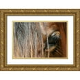 thumbnail image 1 of Schalke, Melissa  32x23 Gold Ornate Wood Framed with Double Matting Museum Art Print Titled - Beautiful close-up of a Horse, 1 of 4