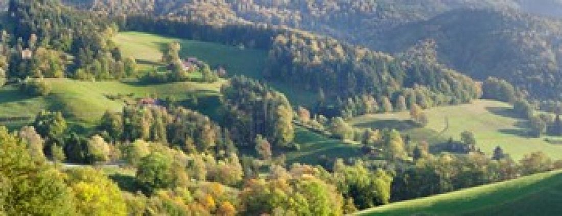 Schauinsland Mountain St Ulrich Black Forest Baden-Wurttemberg Germany Canvas Art - Panoramic Images (31 x 12)
