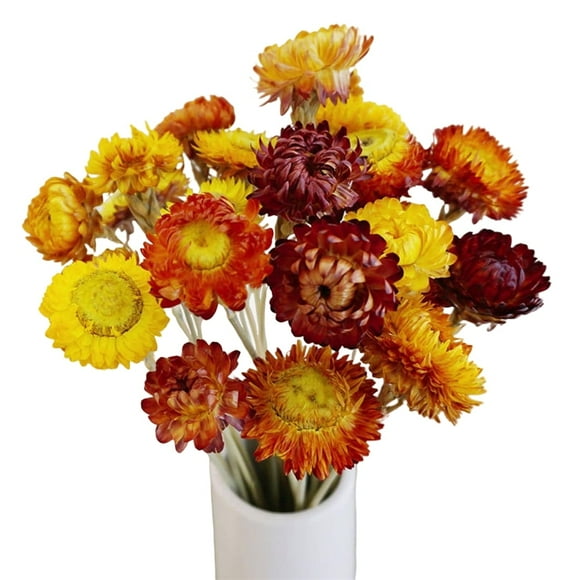 Scheam 20 Pcs Multicolor Artificial Dried Daisy Flowers Daisies Sunflowers Chrysanthemum Bouquet Orange Fall Flower Arrangements for Vase DIY Table Centerpiece,Wedding Home Decor