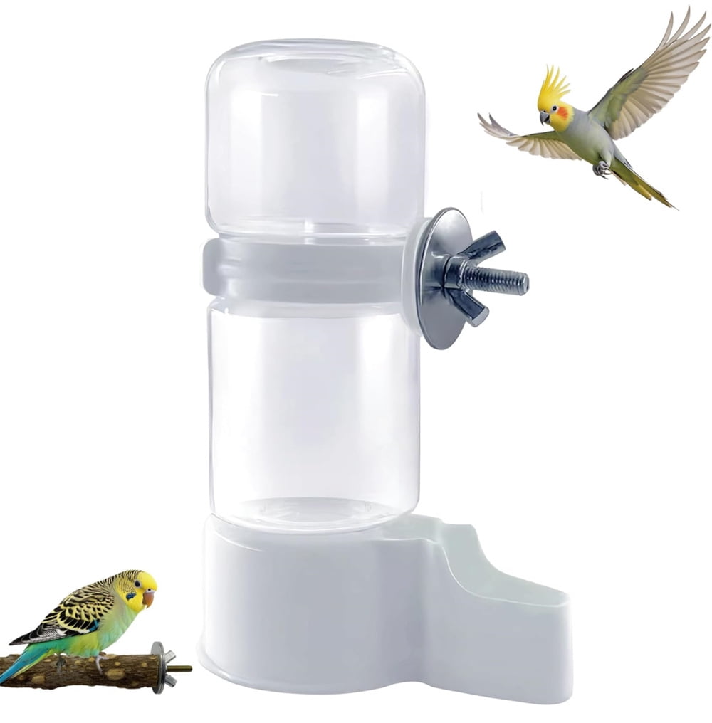 Photo inspiration: Fresh Look at Scheam Automatic Pet Bird Water Dispenser 1 Pcs No Mess