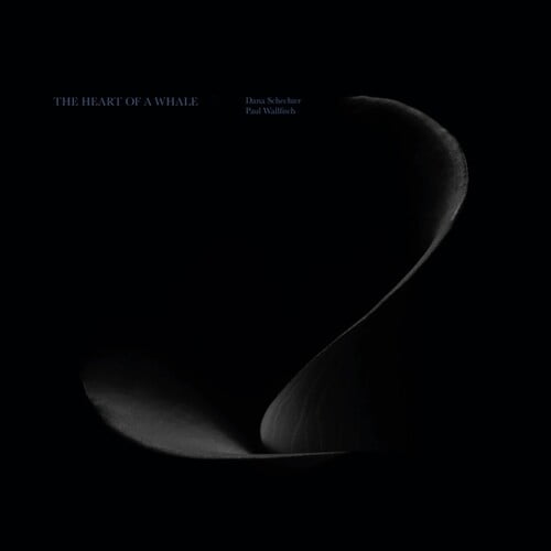 Schechter,Dana / Wallfisch,Paul - The Heart Of A Whale - Music & Performance - Vinyl