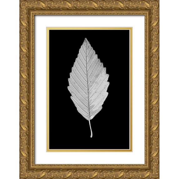 Schell, Jennie Marie 11x14 Gold Ornate Wood Framed with Double Matting Museum Art Print Titled - Leaf Black and White 2