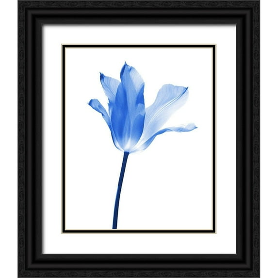 Schell, Jennie Marie 12x14 Black Ornate Wood Framed with Double Matting Museum Art Print Titled - Blue Tulip Flower