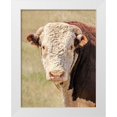 thumbnail image 1 of Schell, Jennie Marie 12x14 White Modern Wood Framed Museum Art Print Titled - Hereford Bull Color, 1 of 4