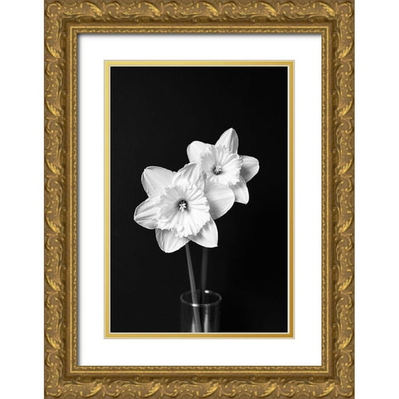 Schell, Jennie Marie 13x18 Gold Ornate Wood Framed with Double Matting Museum Art Print Titled - Daffodil Flowers Still Life Black and White
