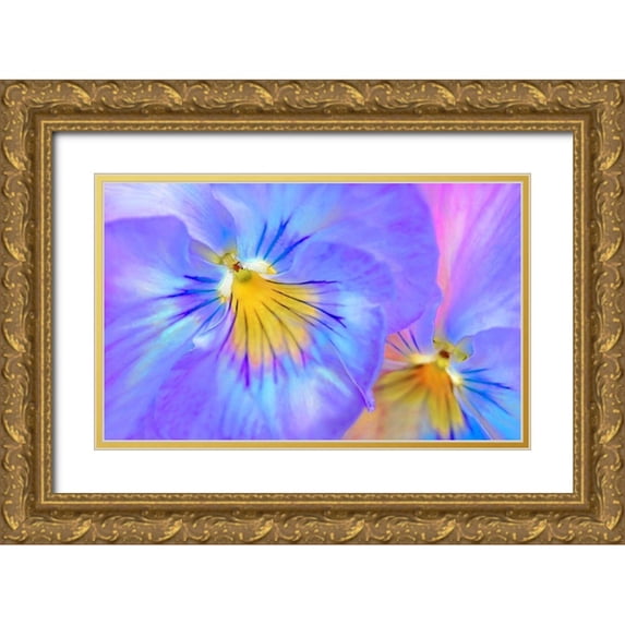 Schell, Jennie Marie 14x10 Gold Ornate Wood Framed with Double Matting Museum Art Print Titled - Purple Pansy Flower