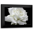 thumbnail image 1 of Schell, Jennie Marie 14x11 Black Modern Framed Museum Art Print Titled - Rose White 3, 1 of 5