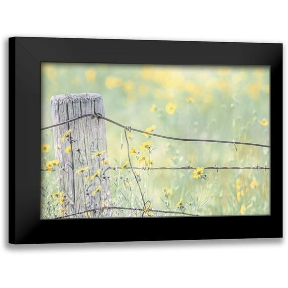 Schell, Jennie Marie 14x11 Black Modern Framed Museum Art Print Titled - Wildflowers By Fence Post Color