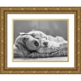 thumbnail image 1 of Schell, Jennie Marie 14x12 Gold Ornate Wood Framed with Double Matting Museum Art Print Titled - Dog Sleeping with Friend, 1 of 4