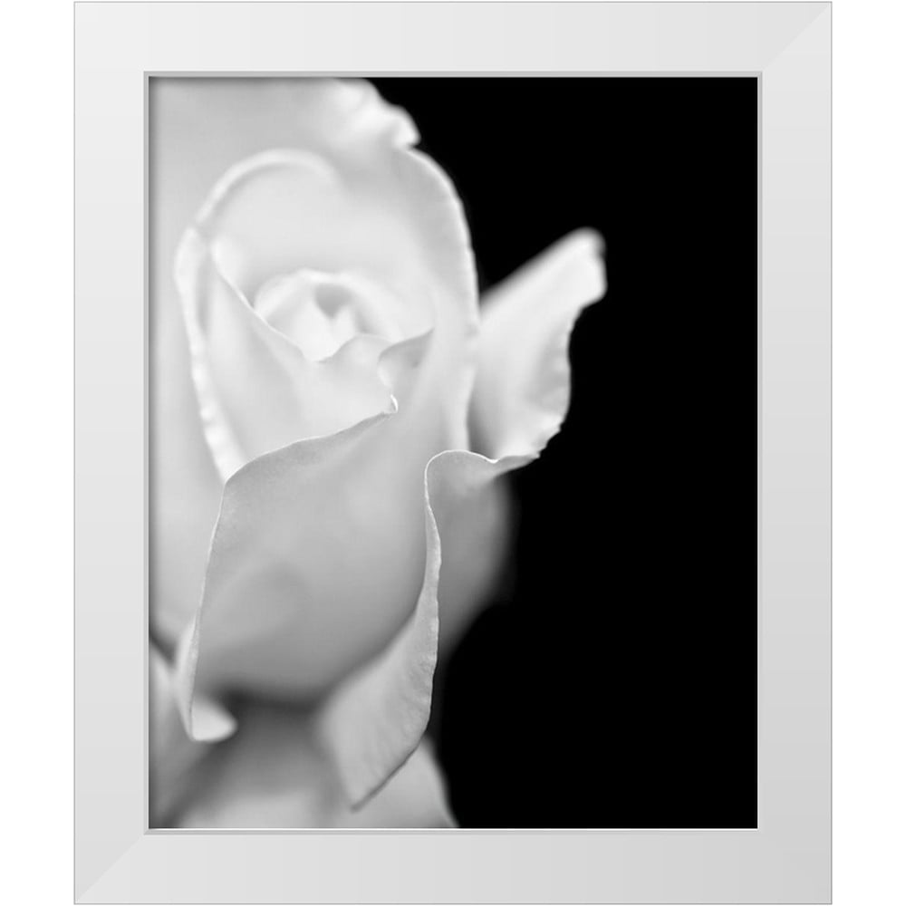 Jennie Marie Black and White Rose Canvas Print with White Frame