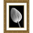 thumbnail image 1 of Schell, Jennie Marie 17x24 Gold Ornate Wood Framed with Double Matting Museum Art Print Titled - Tulip Flower Macro Black and White 2, 1 of 4