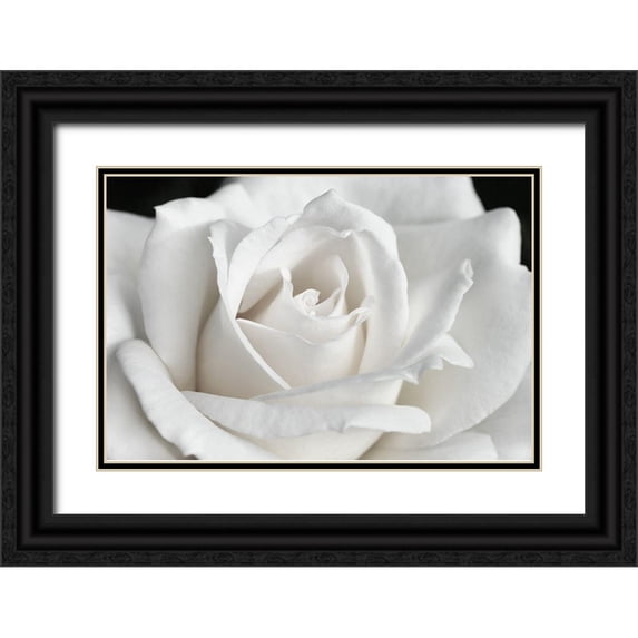 Schell, Jennie Marie 18x13 Black Ornate Wood Framed with Double Matting Museum Art Print Titled - Rose White 6