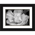 thumbnail image 1 of Schell, Jennie Marie 18x13 Black Ornate Wood Framed with Double Matting Museum Art Print Titled - Tulip Flower Macro Black and White 4, 1 of 4