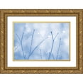 thumbnail image 1 of Schell, Jennie Marie 18x13 Gold Ornate Wood Framed with Double Matting Museum Art Print Titled - Blue Twigs Abstract, 1 of 4
