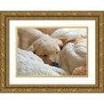 thumbnail image 1 of Schell, Jennie Marie 18x14 Gold Ornate Wood Framed with Double Matting Museum Art Print Titled - Dog Lab Puppy Sleeping, 1 of 4