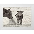 thumbnail image 1 of Schell, Jennie Marie 18x14 White Modern Wood Framed Museum Art Print Titled - Cow and Calf Sepia, 1 of 4