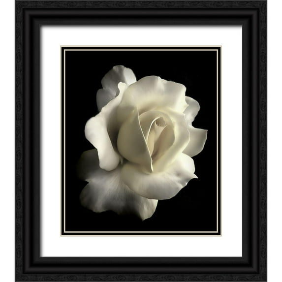 Schell, Jennie Marie 20x23 Black Ornate Wood Framed with Double Matting Museum Art Print Titled - Rose White 1