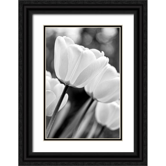 Schell, Jennie Marie 23x32 Black Ornate Wood Framed with Double Matting Museum Art Print Titled - Tulip Flowers Black and White 3