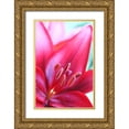 thumbnail image 1 of Schell, Jennie Marie 23x32 Gold Ornate Wood Framed with Double Matting Museum Art Print Titled - Pink Daylily Macro Flower, 1 of 4