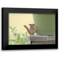 thumbnail image 1 of Schell, Jennie Marie 24x17 Black Modern Framed Museum Art Print Titled - Chipmunk and Flower Pot, 1 of 5