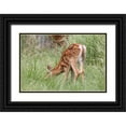 thumbnail image 1 of Schell, Jennie Marie 24x17 Black Ornate Wood Framed with Double Matting Museum Art Print Titled - Deer Fawn Eating Spring Grass, 1 of 4