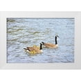 thumbnail image 1 of Schell, Jennie Marie 24x17 White Modern Wood Framed Museum Art Print Titled - Canada Geese and Goslings on Lake, 1 of 4
