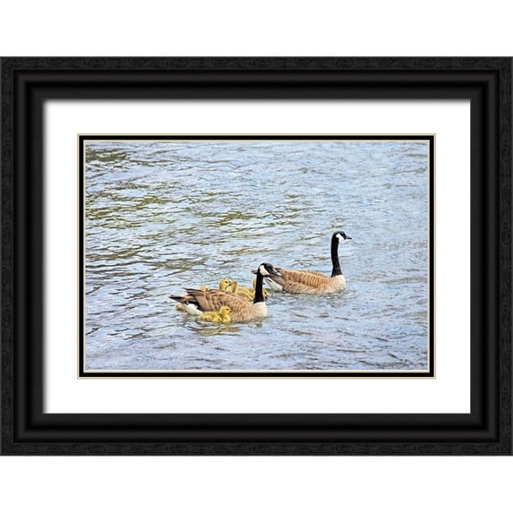 Schell, Jennie Marie 32x23 Black Ornate Wood Framed with Double Matting Museum Art Print Titled - Canada Geese and Goslings on Lake