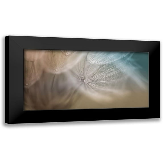 Schenck, Robert 14x9 Black Modern Framed Museum Art Print Titled - Dalliance III
