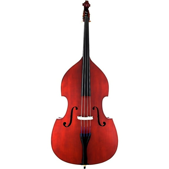 Scherl & Roth Arietta Student Double Bass 3/4 With French Bow, Bag, Rosin