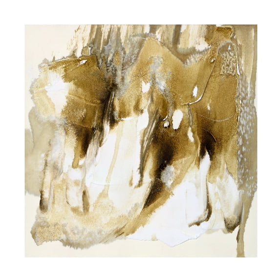 Scherrer Finch 'Drifting Sands V' Canvas Art