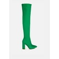 thumbnail image 1 of Schiffer High Block Heeled Long Boot, 1 of 11
