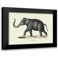 thumbnail image 1 of Schinz, Heinrich Rudolf 14x12 Black Modern Framed Museum Art Print Titled - Elephant, 1 of 5