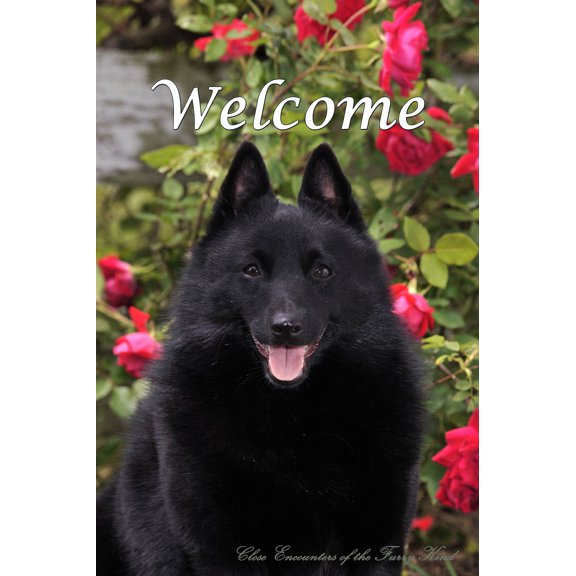 Schipperke - Best of Breed CEFK Welcome Photo Garden Flag