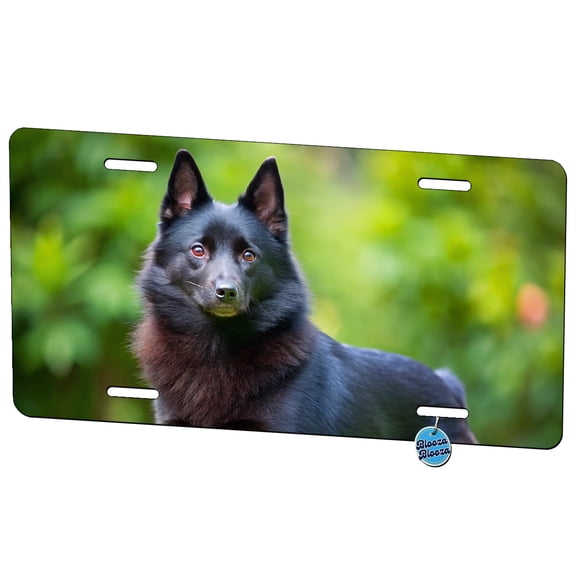 Schipperke Dog Photo Metal Novelty License Plate