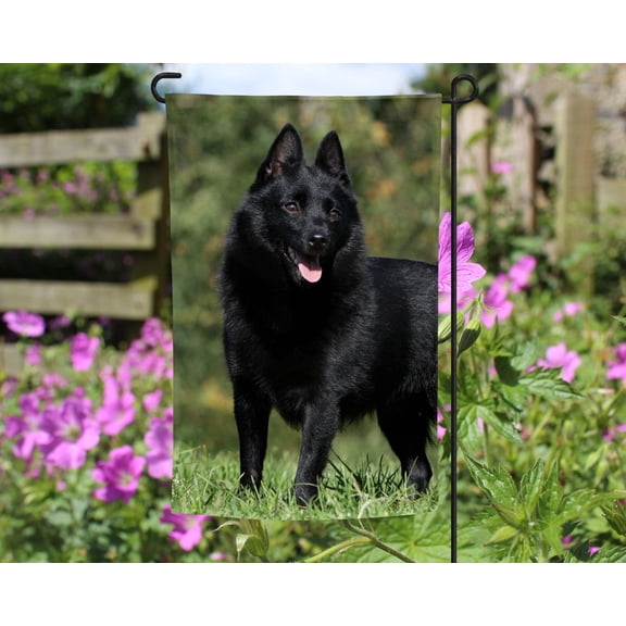 Schipperke Garden Flag