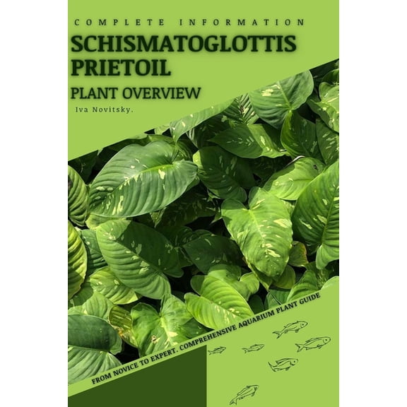 Schismatoglottis prietoil : From Novice to Expert. Comprehensive Aquarium Plants Guide (Paperback)
