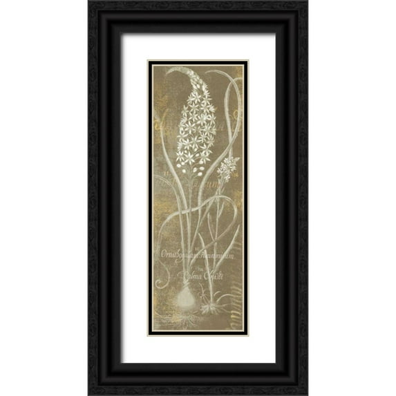 Schlabach, Sue 11x24 Black Ornate Wood Framed with Double Matting Museum Art Print Titled - Flower Lines III
