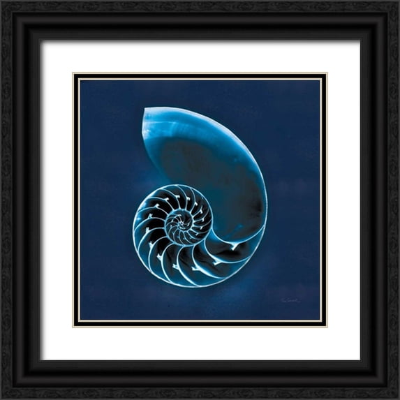 Schlabach, Sue 12x12 Black Ornate Wood Framed with Double Matting Museum Art Print Titled - Cyanotype Sea II