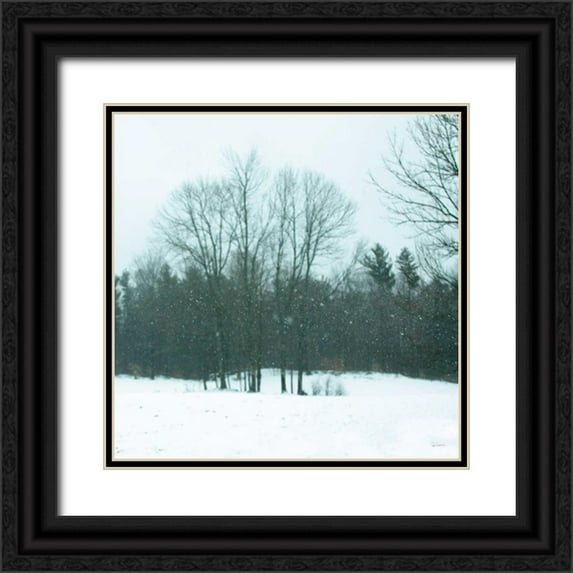 Schlabach, Sue 12x12 Black Ornate Wood Framed with Double Matting Museum Art Print Titled - Snowfall