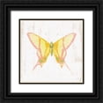 thumbnail image 1 of Schlabach, Sue 12x12 Black Ornate Wood Framed with Double Matting Museum Art Print Titled - White Barn Butterflies IV, 1 of 4